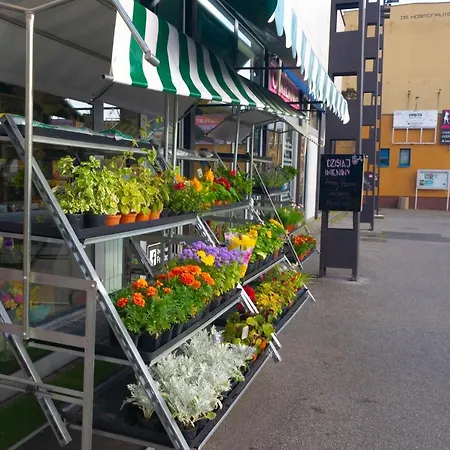 Apartment C M Skotarska