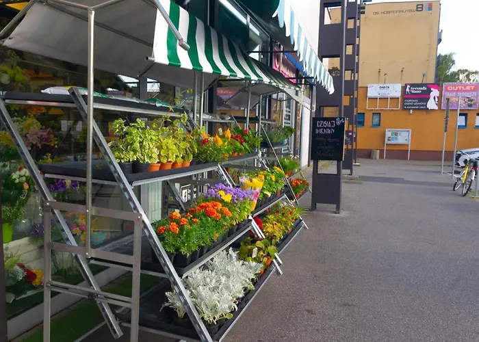 Appartement C M Skotarska