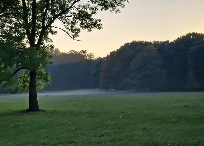 C M Skotarska Poznań