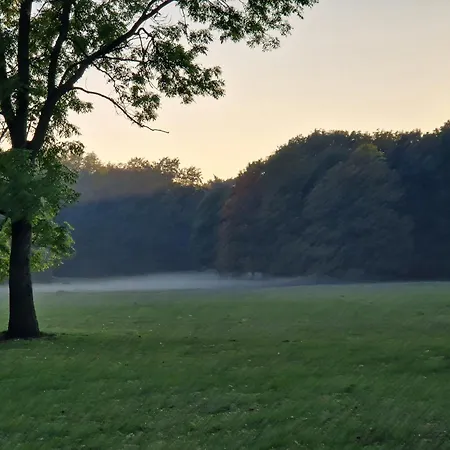 C M Skotarska Poznań