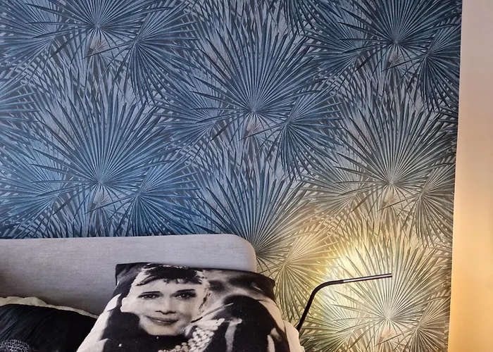 דירה C M Skotarska